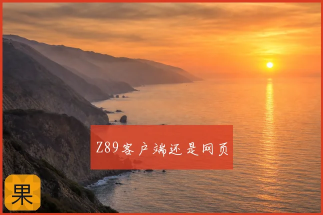 Z89客户端还是网页