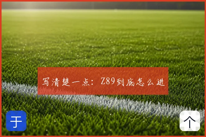 写清楚一点：Z89到底怎么进