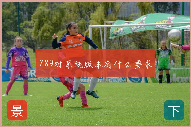 Z89对系统版本有什么要求