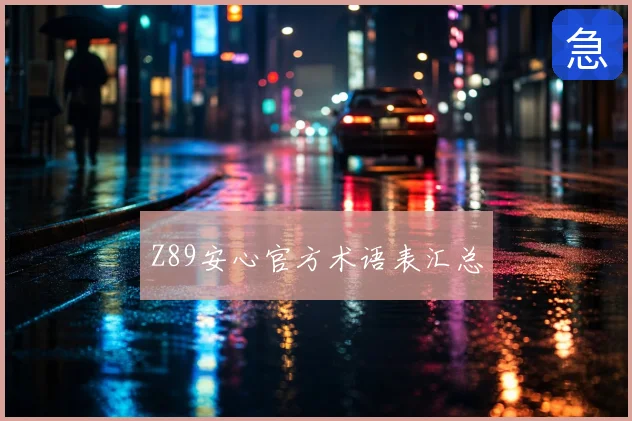 Z89安心官方术语表汇总